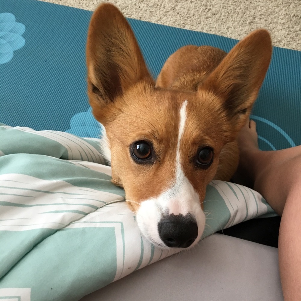 Meet your Posher, Shella